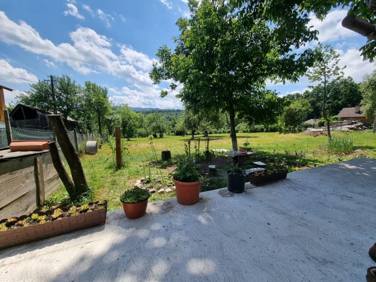 Casa Primitoare In Inima Naturii Si Padurii Rasca  Exterior photo